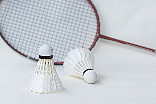 国家提供了 国家提供了