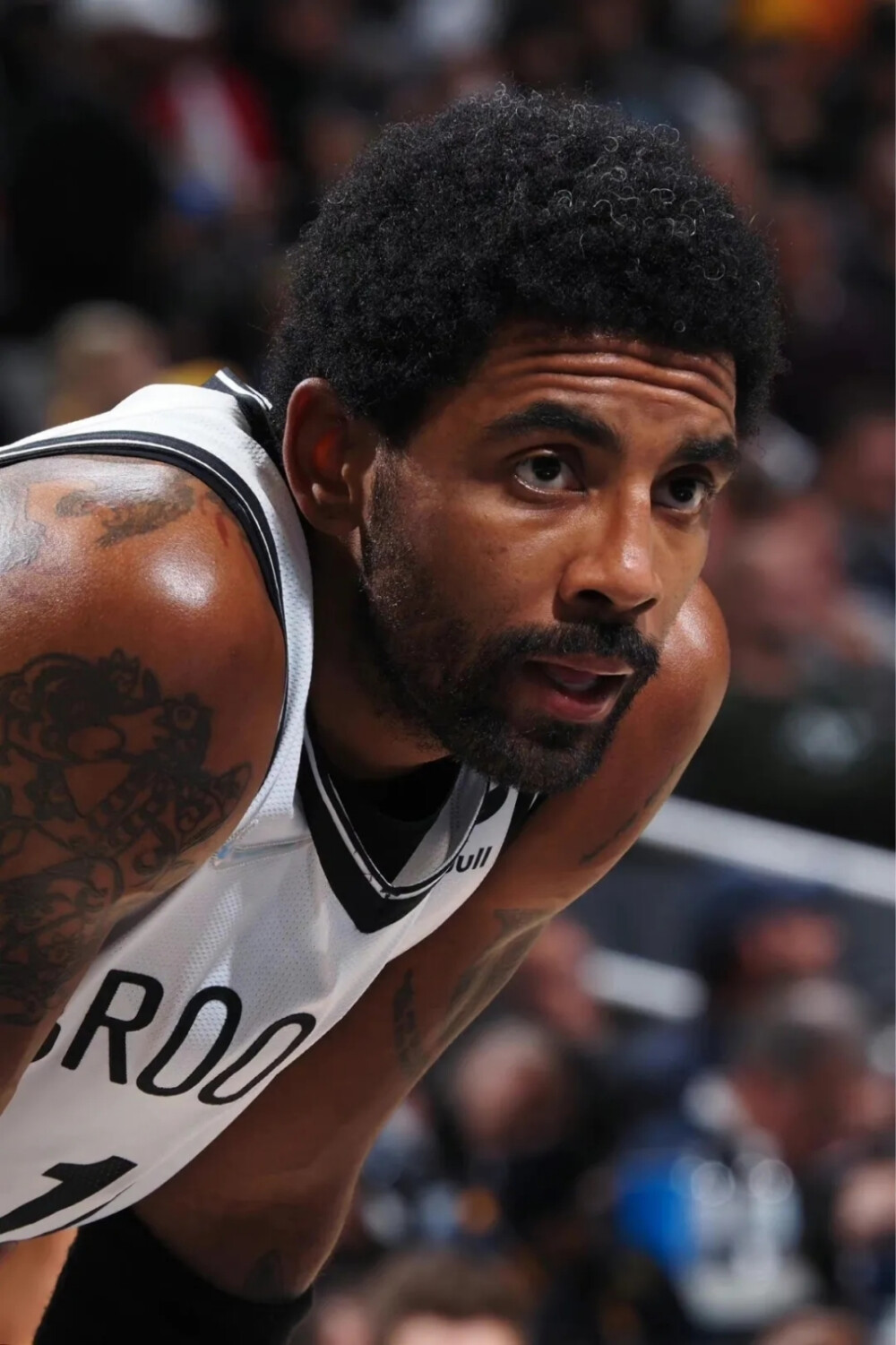 汉堡更优 汉堡更优